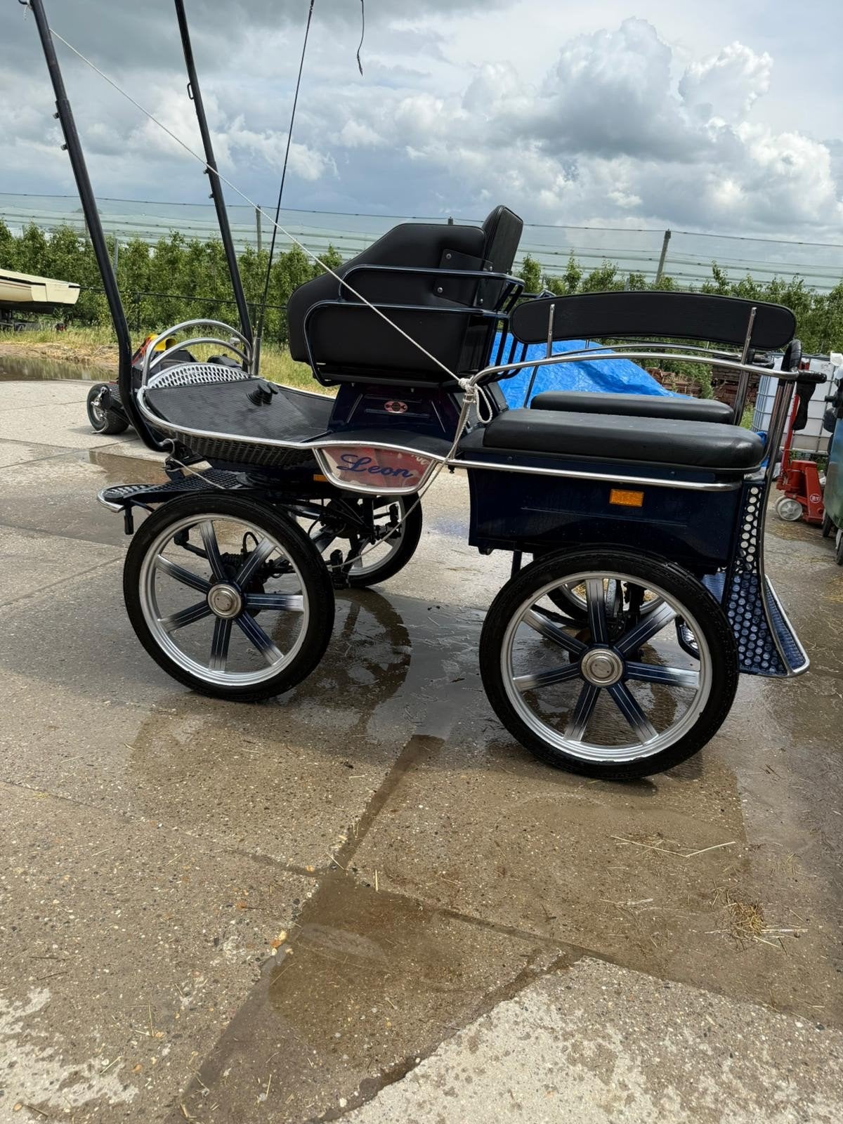 Z.g.a.n. menwagen Leon incl. tuig en beschermhoezen, Dieren en Toebehoren, Zo goed als nieuw, Overige typen, Paard of Pony