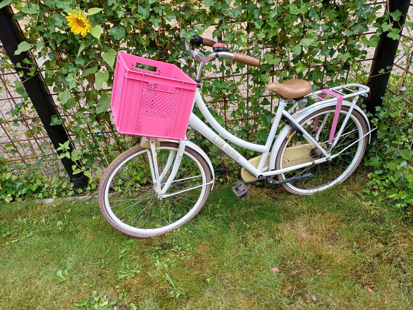 Opknapper damesfiets - banden en binnenbanden te vervangen, Fietsen en Brommers, Fietsen | Dames | Damesfietsen, Versnellingen