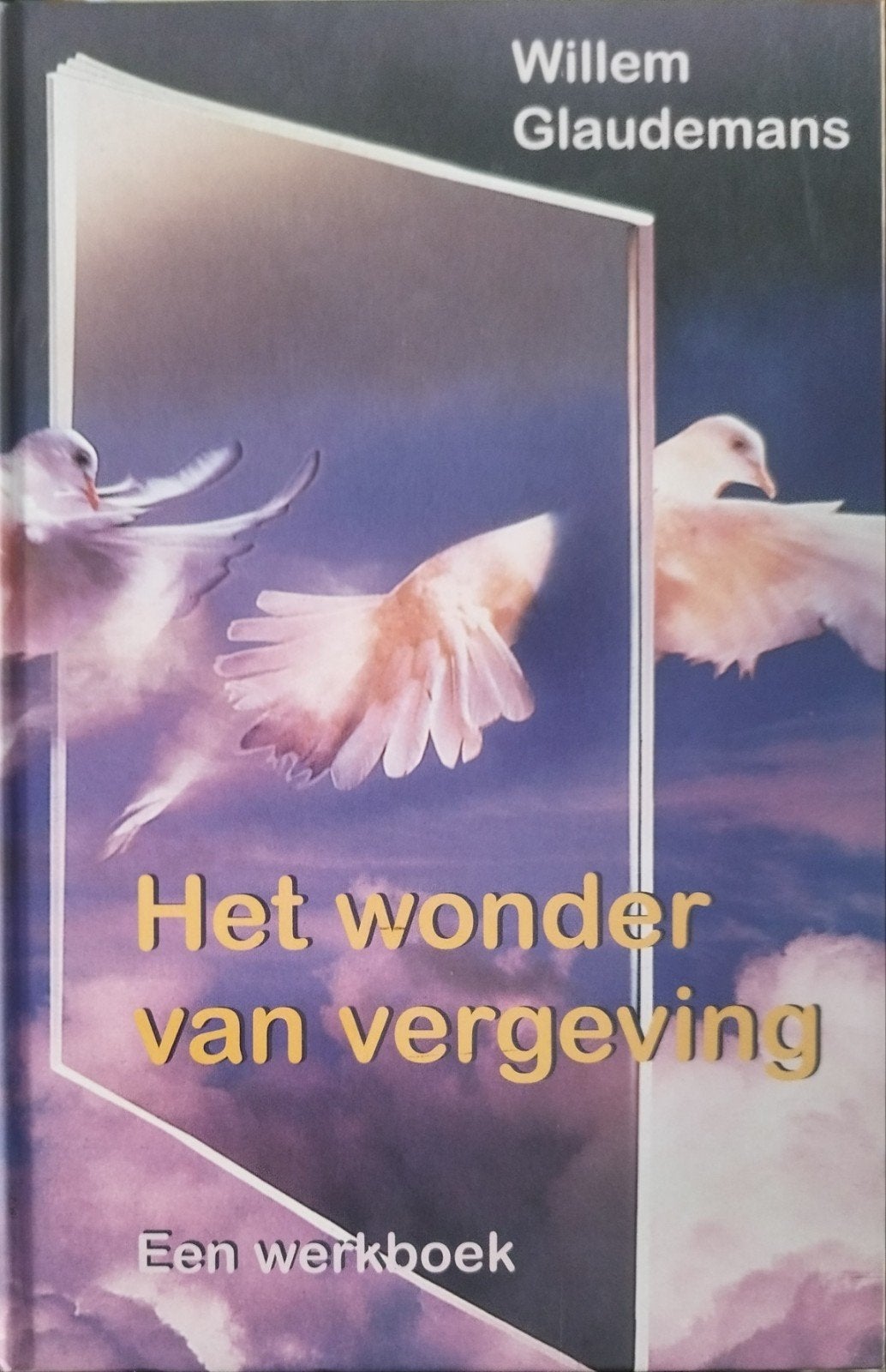 Het Wonder van Vergeving: Glaudemans, Boeken, Willem Claudemans, Nieuw, Ophalen of Verzenden, Instructieboek