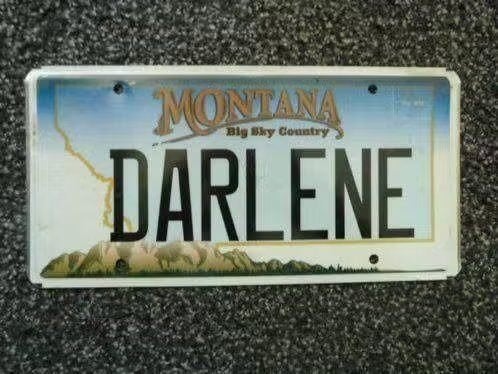 Kentekenplaat licenseplate Montana Darlene USA, Verzenden, Gebruikt, Auto's