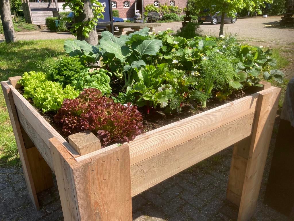Moestuinbak met kunststof binnenbak en waterbuffersysteem, Tuin en Terras, Bloembakken en Plantenbakken, Ophalen, 100 cm of meer
