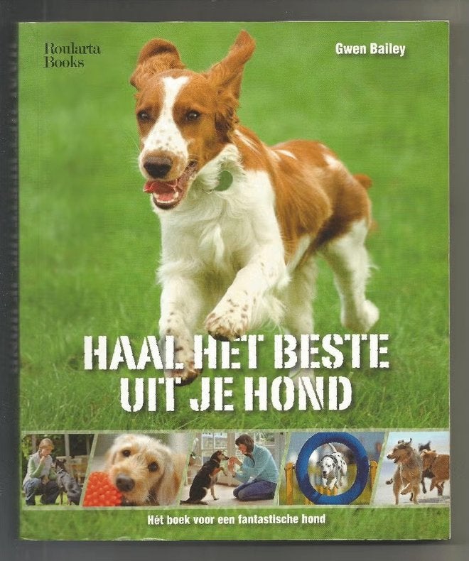 Haal het beste uit je hond - Gwen Bailey, Ophalen of Verzenden, Nieuw, Honden