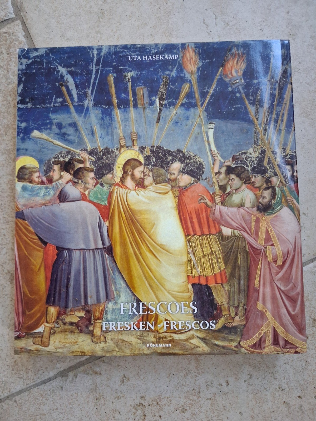 Fresco's: Kunstboek van Uta Hasekamp, Ophalen of Verzenden, Zo goed als nieuw, Schilder- en Tekenkunst, Uta Hasekamp