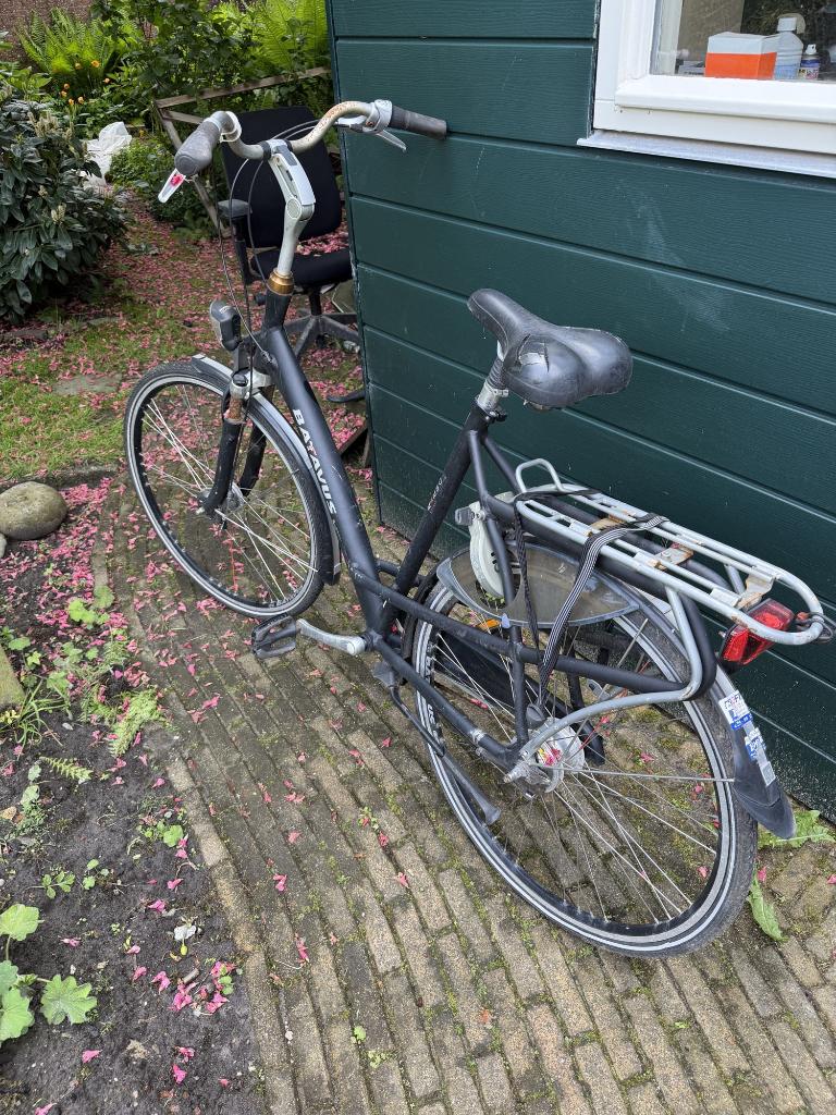 Batavus Mambo damesfiets 28 inch - 59cm - opknapper, Ophalen, Gebruikt, Velgrem, Versnellingen