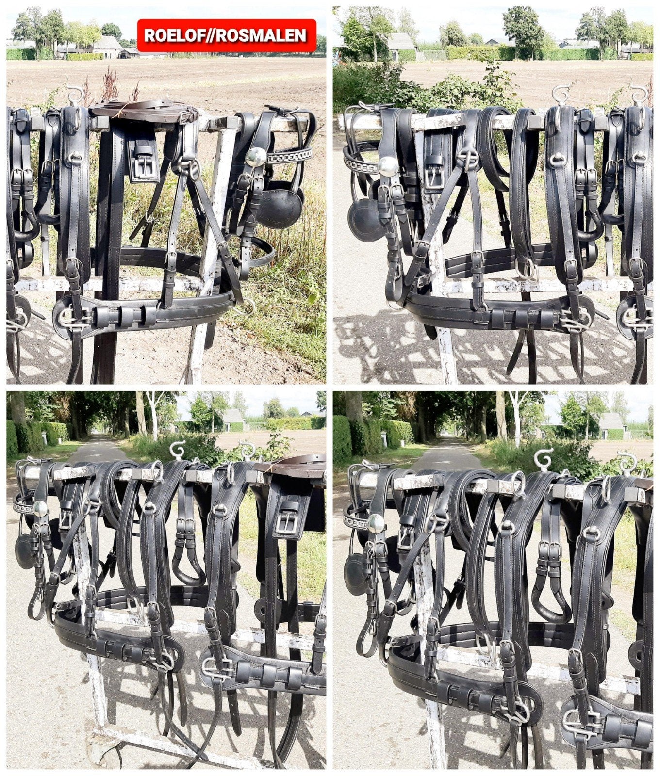 💢 NIEUW GOED COB-MAAT 2 SPAN TUIG 695 €.💢, Ophalen of Verzenden, Zacht onderlegd, Cob