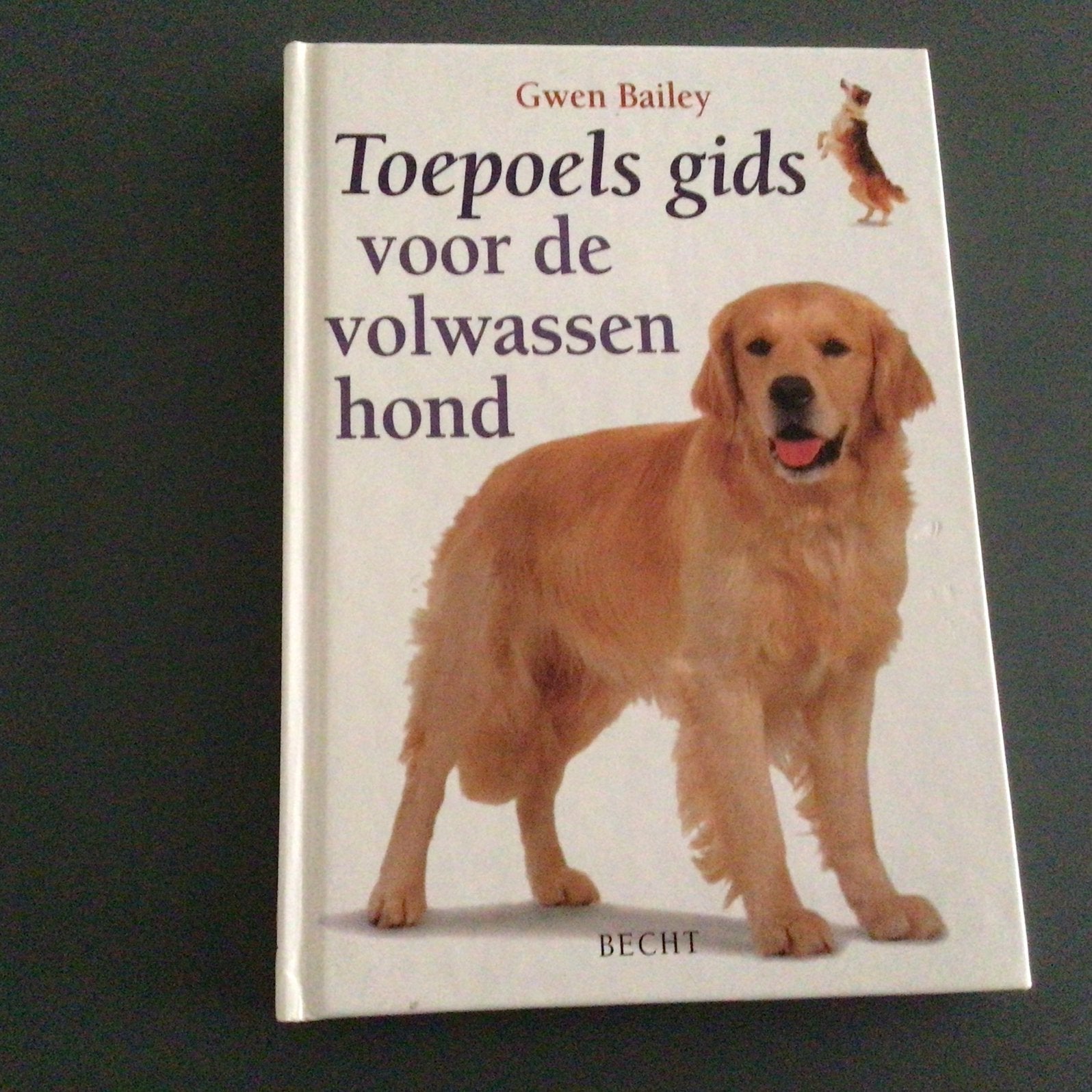 Gwen Bailey - Toepoels gids voor de volwassen hond, Honden, Ophalen of Verzenden, Zo goed als nieuw, Gwen Bailey