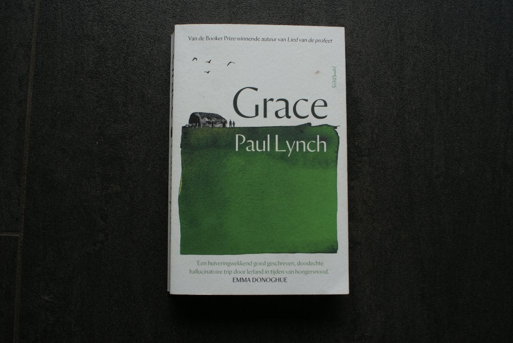 GRACE.... Paul Lynch.... 2025, Boeken, Ophalen of Verzenden, Zo goed als nieuw