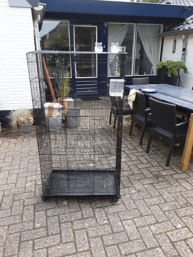 Vogelkooi, Ophalen of Verzenden, Gebruikt, Metaal, Vogelkooi