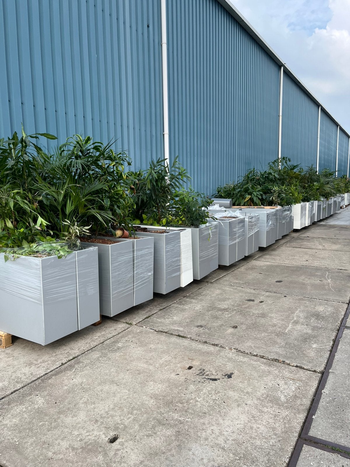 Partij Bloembakken Plantenbakken Aluminium & Wit, Ophalen, Gebruikt, 100 cm of meer, Metaal