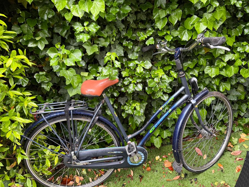 Gazelle trendy damesfiets met 2 sleutels, Fietsen en Brommers, Fietsen | Dames | Damesfietsen, Ophalen of Verzenden, Gebruikt
