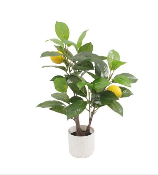 Kunstplant citoen type lemo 50 cm, Ophalen of Verzenden, Nieuw