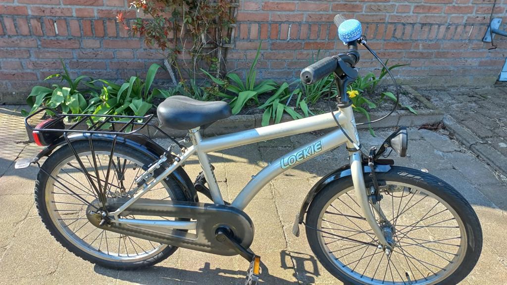 Nette 20 inch Loekie fiets, Fietsen en Brommers, Fietsen | Cruisers en Lowriders, Minder dan 47 cm, Ophalen, Zo goed als nieuw