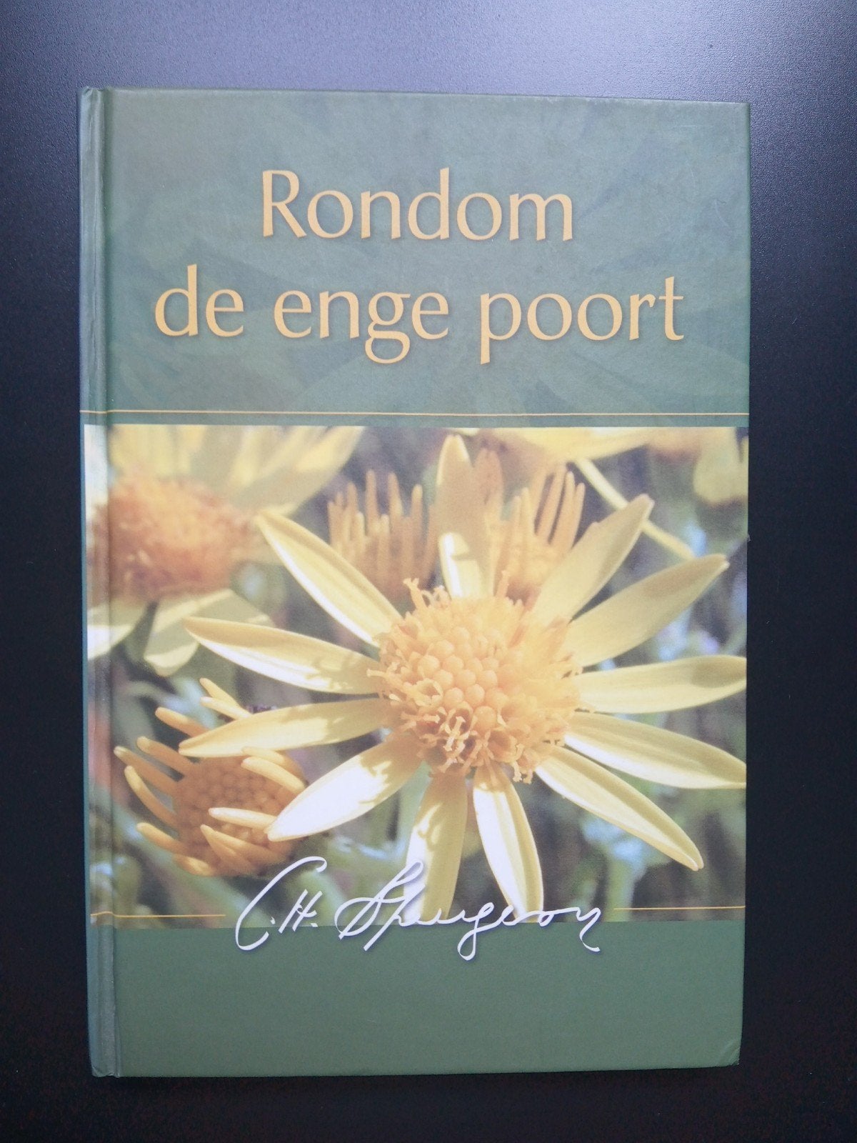 Spurgeon - Rondom de enge poort, Ophalen of Verzenden, Zo goed als nieuw