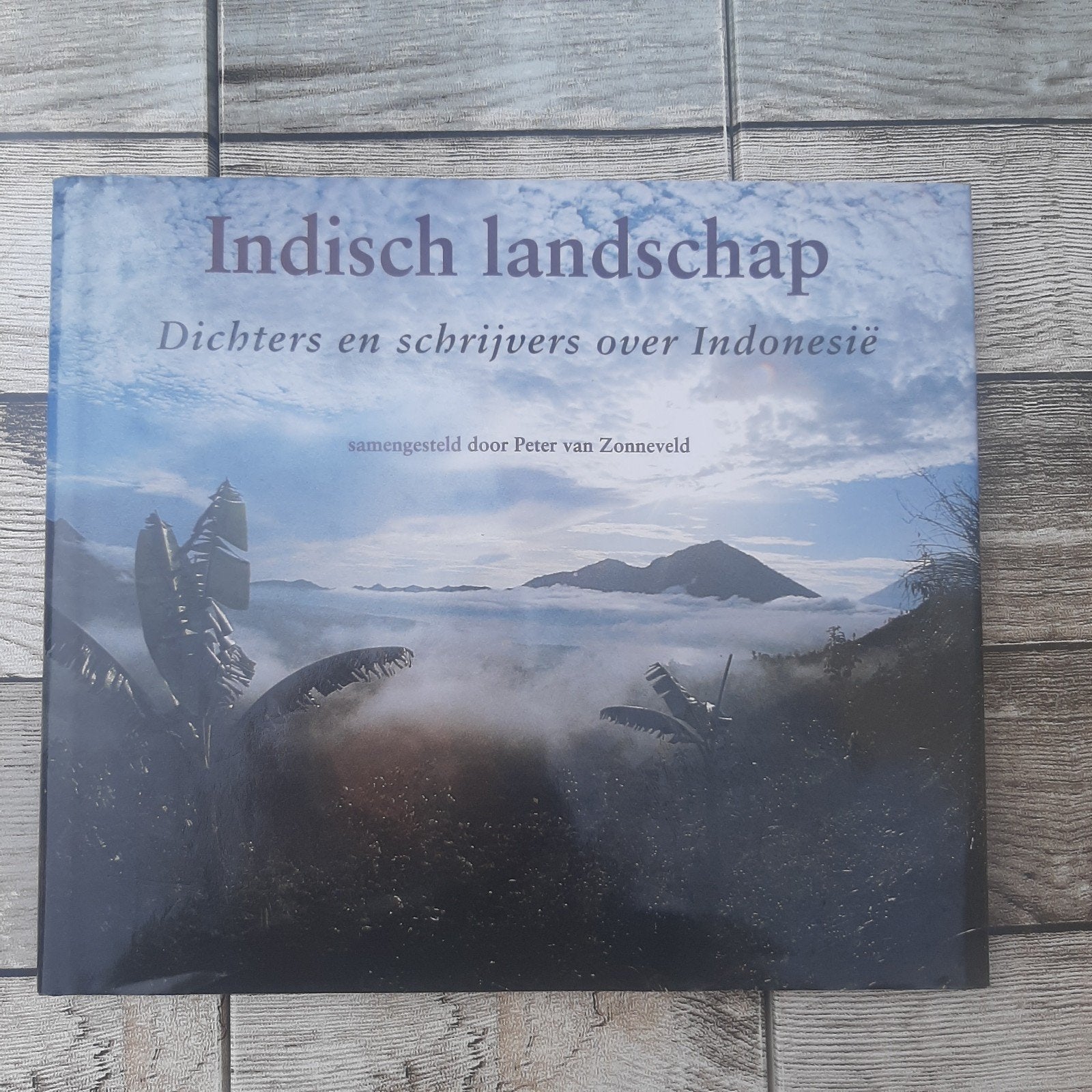 Indisch landschap, Ophalen of Verzenden, Gelezen