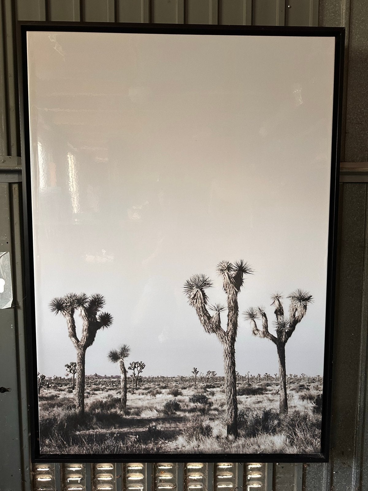 CoCo Maison Fotoprint Joshua Tree Woestijn 74x104 Zwart-wit, Ophalen, Gebruikt, Oorspronkelijke maker, Foto of Poster