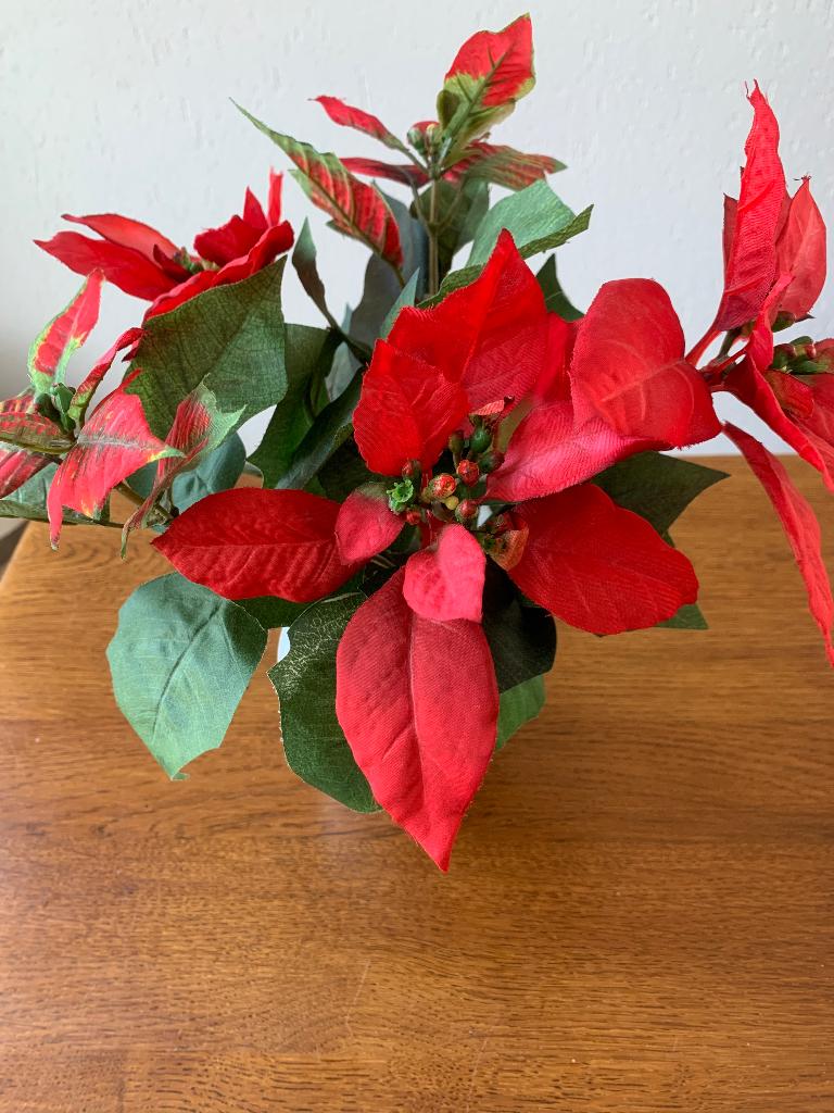 Zijde "Kerstroos/Kerstster" met 5 Bloemen Nieuw, Ophalen of Verzenden, Nieuw