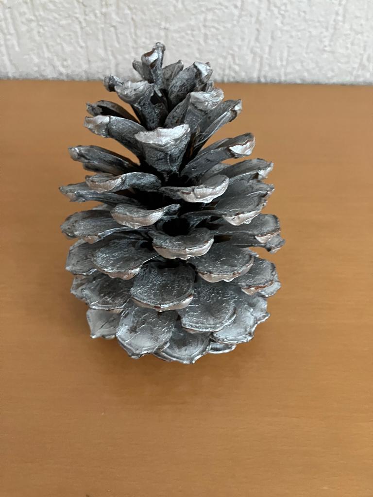 Zilverkleurige Dennenappel , Ophalen of Verzenden, Gebruikt
