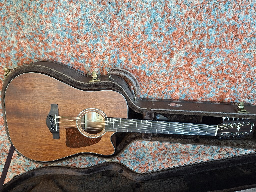 Ibanez 12 snaar incl. hardcase, Ophalen, Zo goed als nieuw, Western- of Steelstringgitaar, 12-snarig