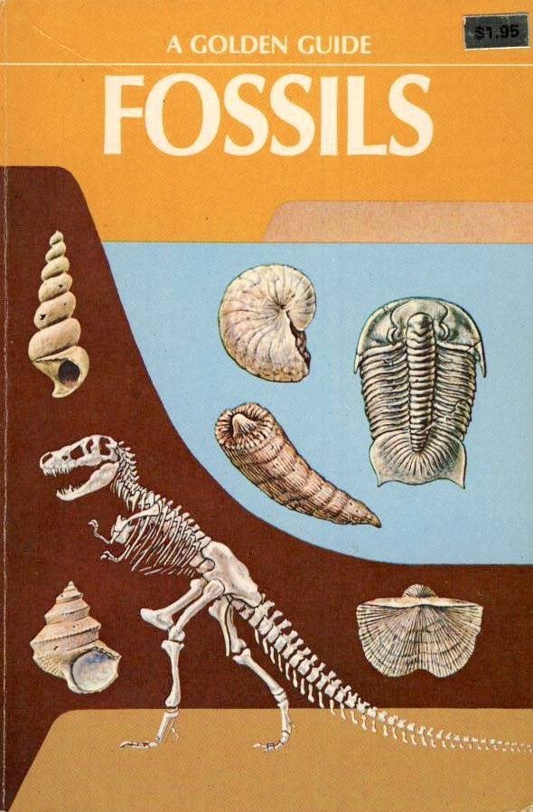 Fossils - Frank H.T. Rhodes, Boeken, Gelezen, Overige wetenschappen, Frank H.T. Rhodes, Ophalen of Verzenden