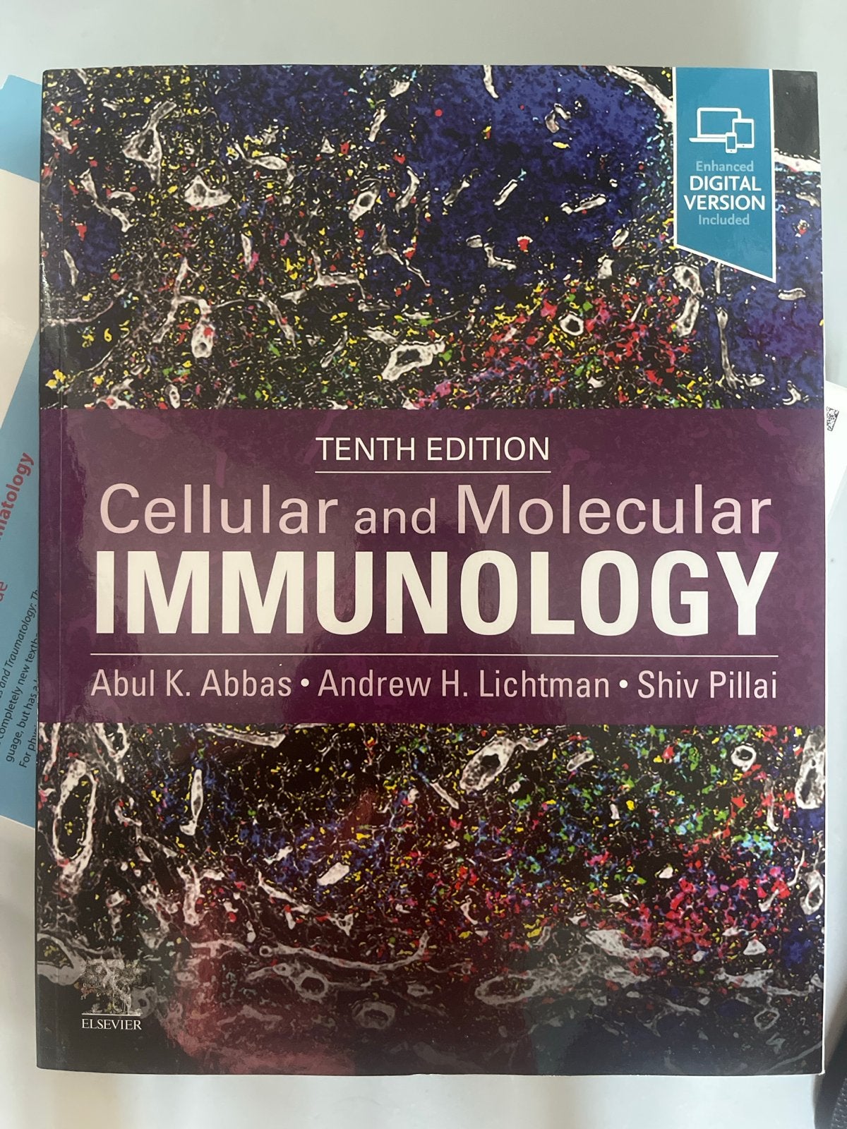 Studieboek Geneeskunde: Cellulaire en Moleculaire Immunologi, Ophalen of Verzenden, Beta, Nieuw, WO
