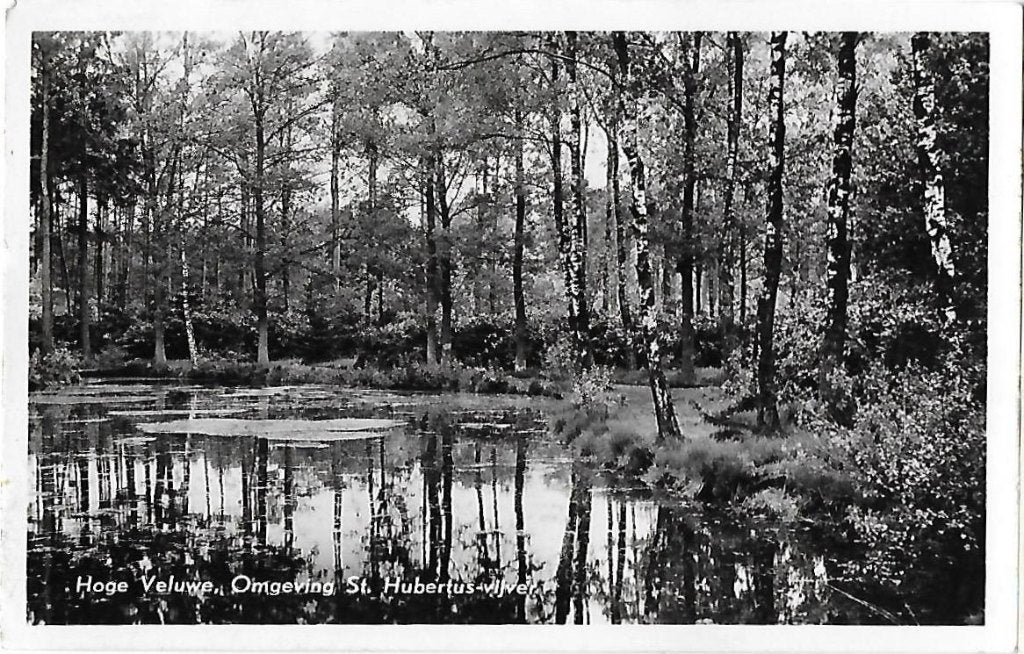 Hoge Veluwe St Hubertus Vijver Oude Ansichtkaart ( 8247 ), Ophalen of Verzenden, 1980 tot heden, Gelopen, Gelderland