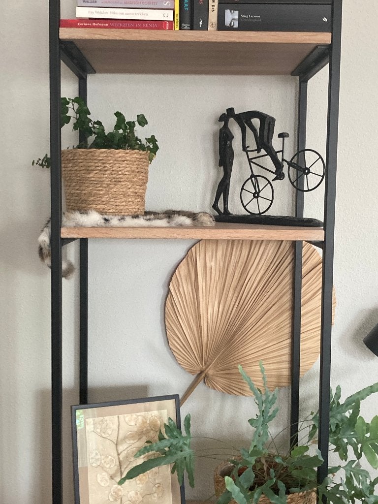 Boekenkast, blank eiken, Ophalen, Met plank(en), 200 cm of meer, Eikenhout