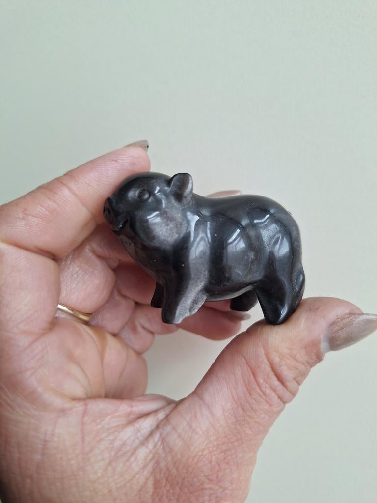 Varken zilver obsidiaan, Verzamelen, Mineralen en Fossielen, Verzenden