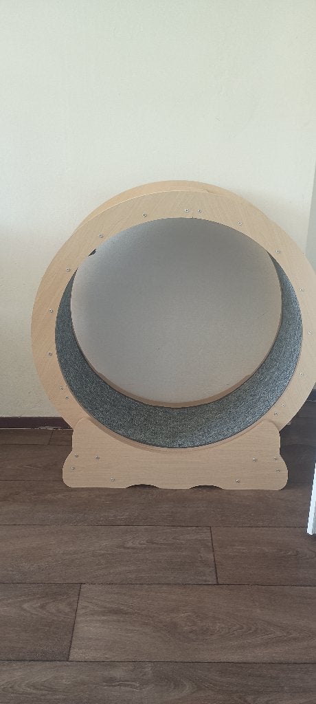 Kattenwiel 65 cm diameter binnenkant (enkel ophalen), Ophalen, Zo goed als nieuw, Overig speelgoed