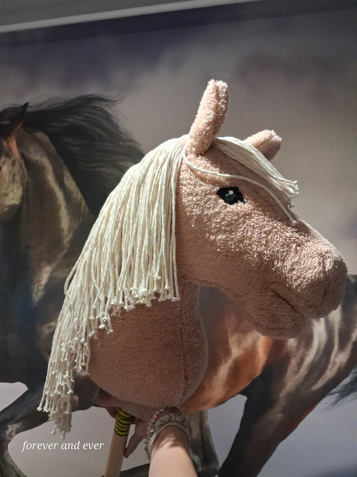 MOET WEG Mooie hobbyhorse, Ophalen of Verzenden