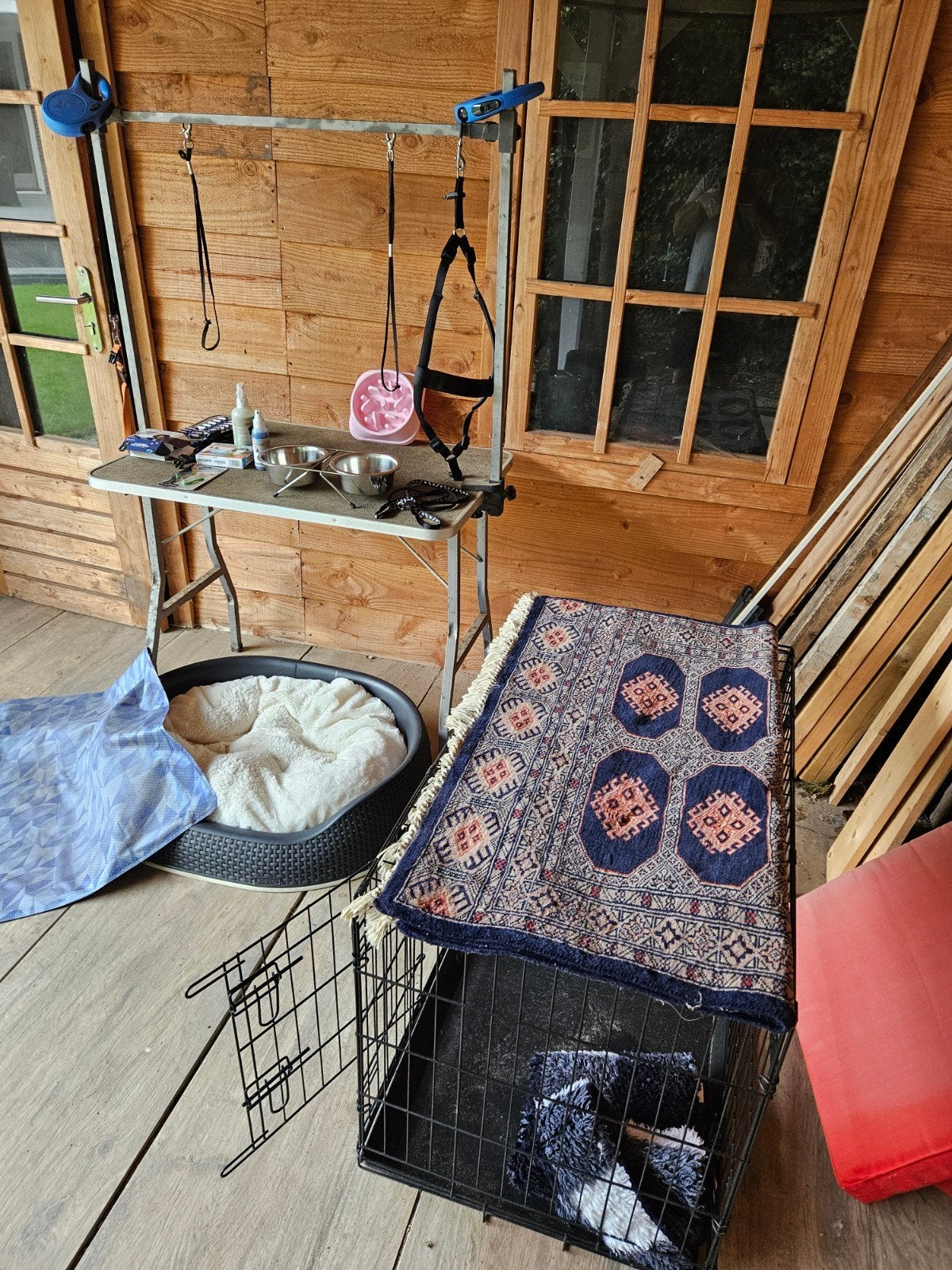 nalatenschap onze hond luna, Ophalen