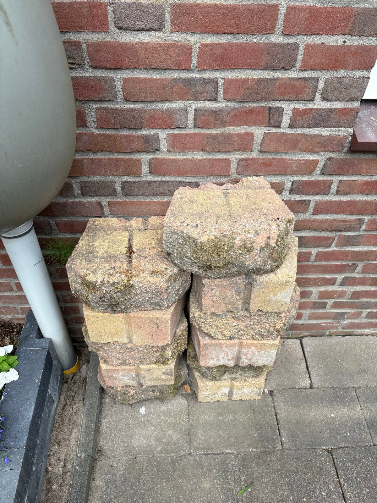 Gratis Gebruikte betonnen klinkers/stenen, Tuin en Terras, Tegels en Klinkers, Ophalen, Gebruikt, Klinkers, Minder dan 5 m²