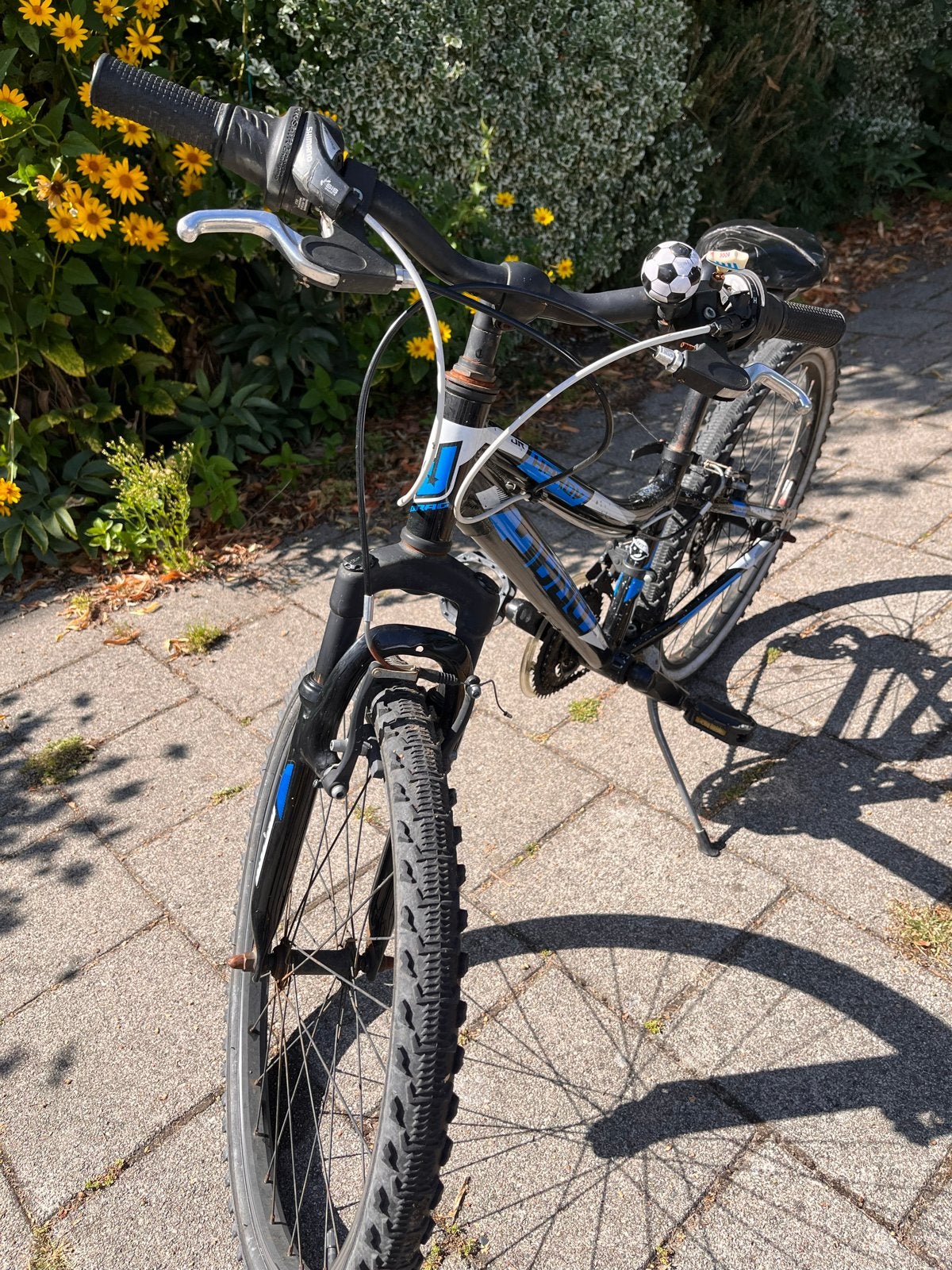 Giant Mountainbike - Gebruikt, Fietsen en Brommers, Fietsen | Mountainbikes en ATB, Ophalen, Gebruikt, Hardtail, Giant
