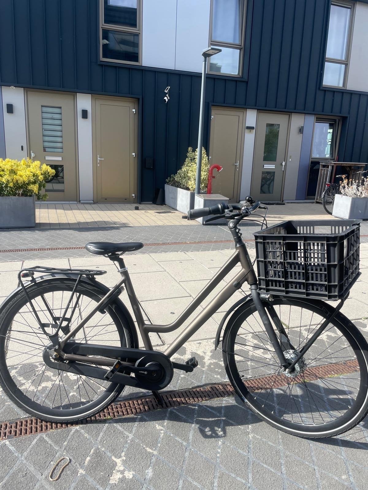 BSP Metropolis Damesfiets met voordrager en mand, Overige merken, Terugtraprem, Ophalen of Verzenden, 53 tot 56 cm