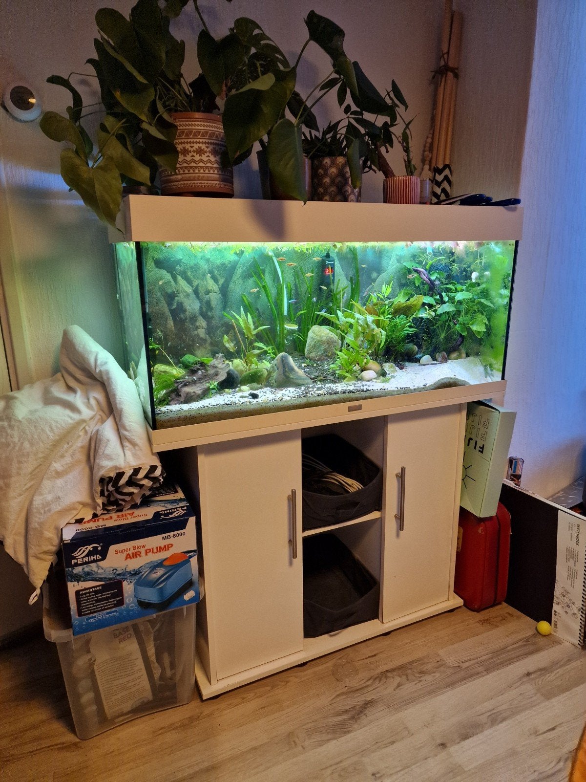 Juwel Aquarium, Dieren en Toebehoren, Vissen | Aquaria en Toebehoren, Ophalen, Gebruikt, Inclusief vissen, Gevuld zoetwateraquarium