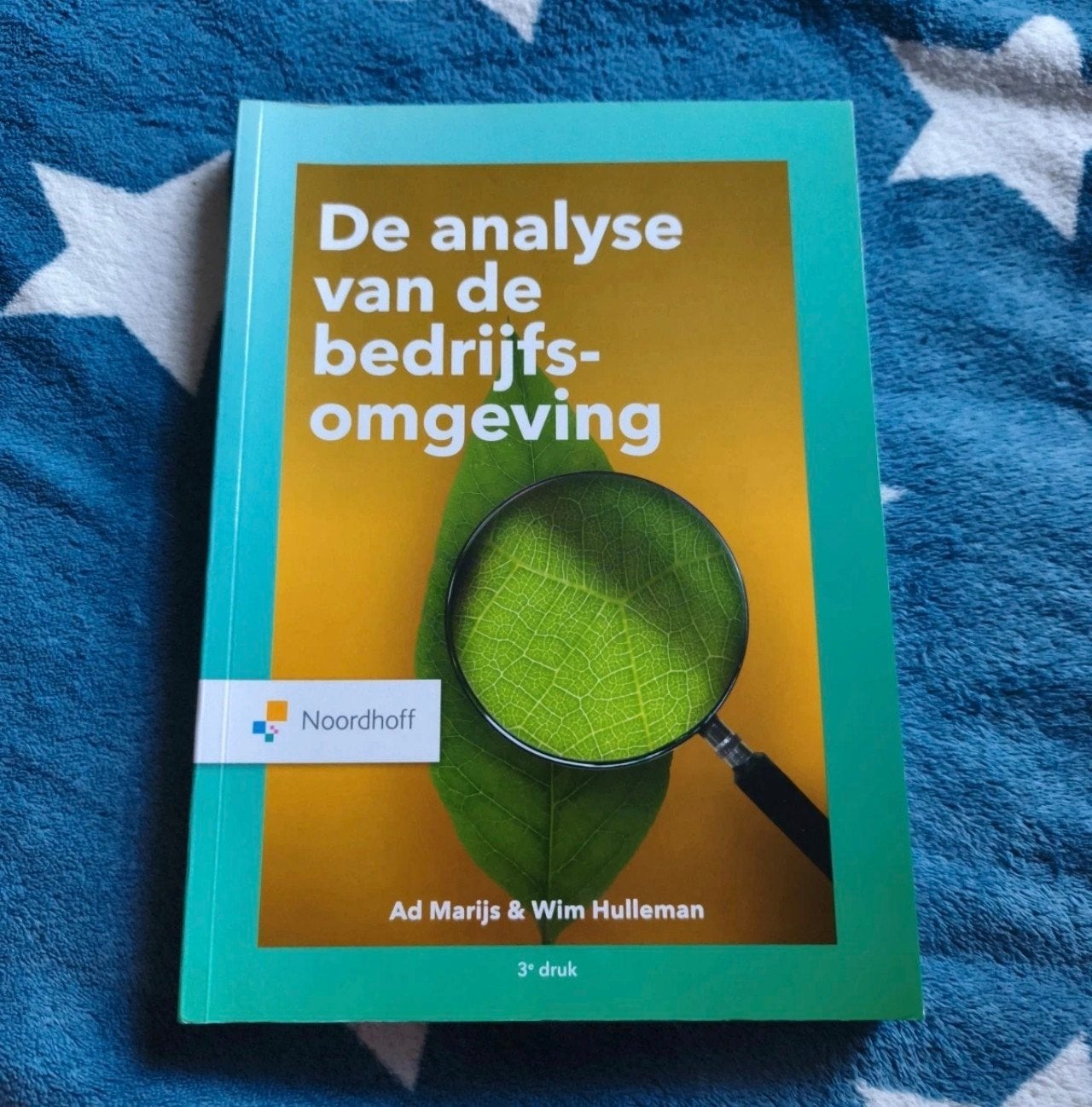 Algemene Economie en Bedrijfsomgeving - Noordhoff, Boeken, Wim Hulleman, Ad Manjis, Nieuw, Gamma, HBO