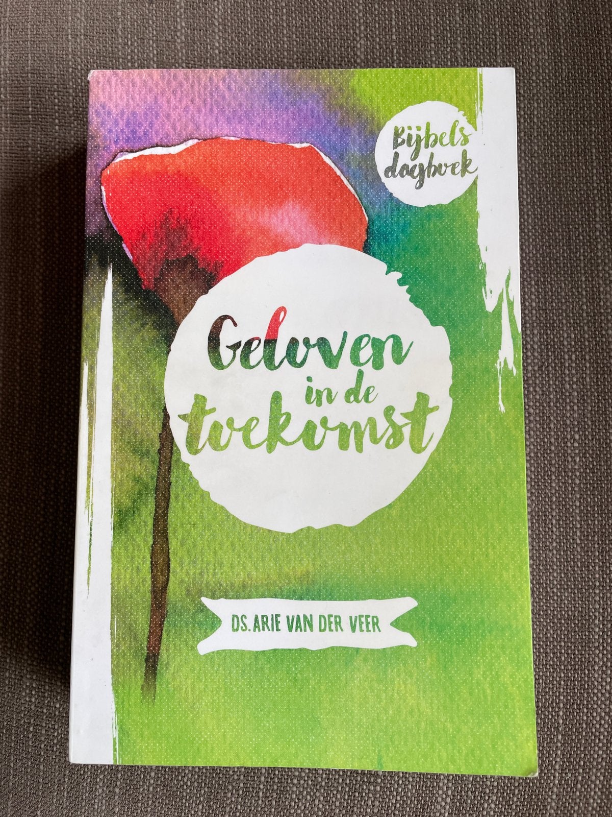 Arie van der Veer - Geloven in de toekomst, Arie van der Veer, Christendom | Protestants, Ophalen of Verzenden, Zo goed als nieuw