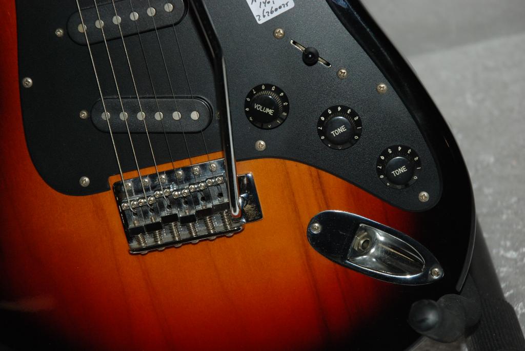 The Animal Stratocaster elektrische gitaar  <26260025>, The Animal, Gebruikt, ., Ophalen of Verzenden