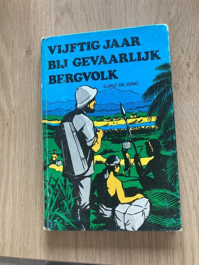 Boek Gjalt de Jong, Boeken, Geschiedenis | Vaderland, Ophalen of Verzenden, Gelezen