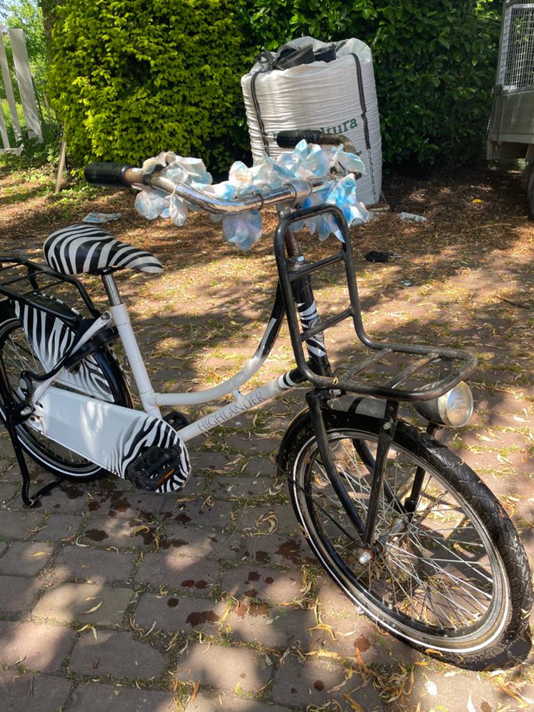 Zebra Highlander fiets met voordrager en slot. 20 inch, Ophalen, Gebruikt, 20 inch