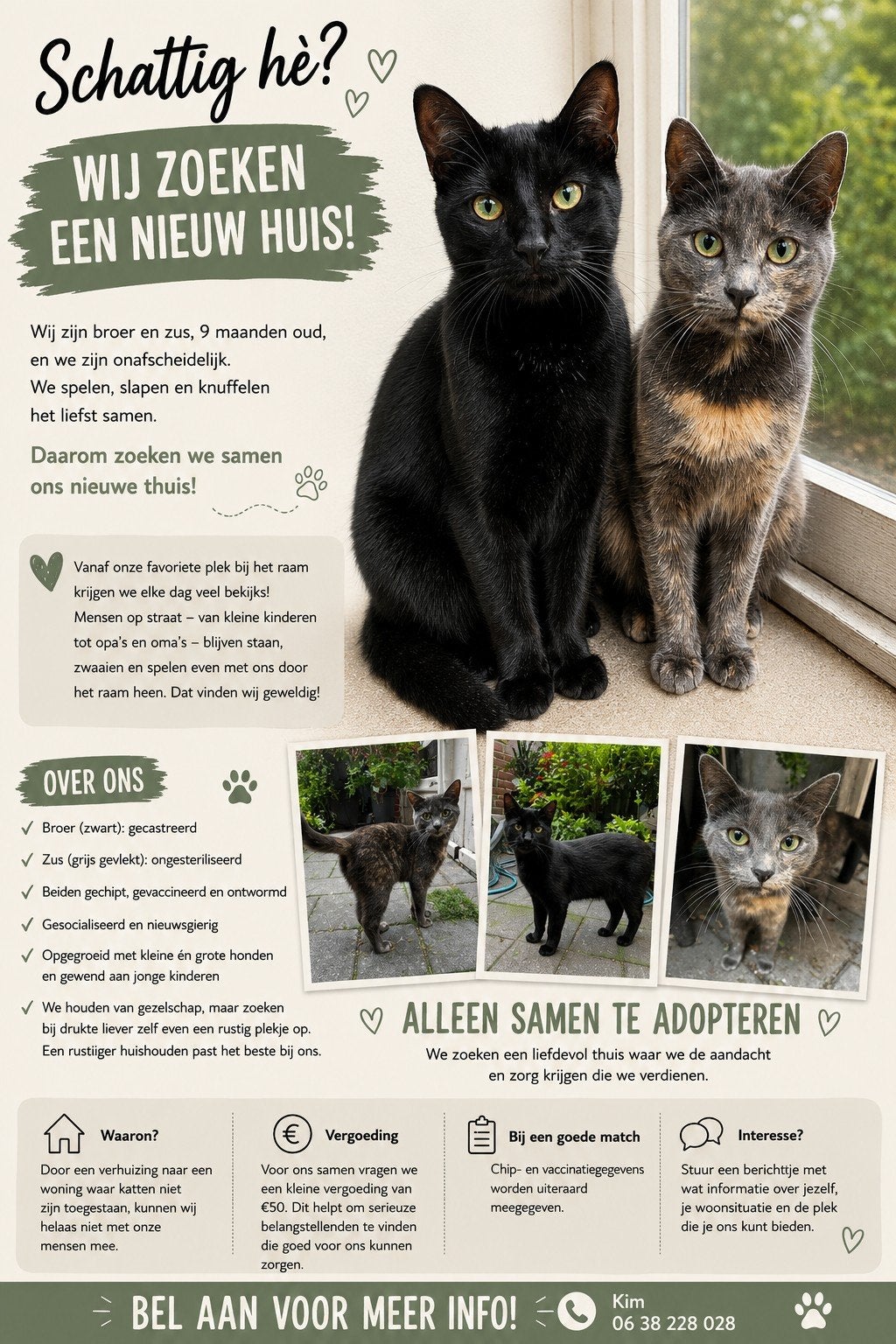Mopie & Mormelien - Broer & zus zoeken samen een nieuw thuis, Dieren en Toebehoren, Katten en Kittens | Overige Katten, Meerdere dieren