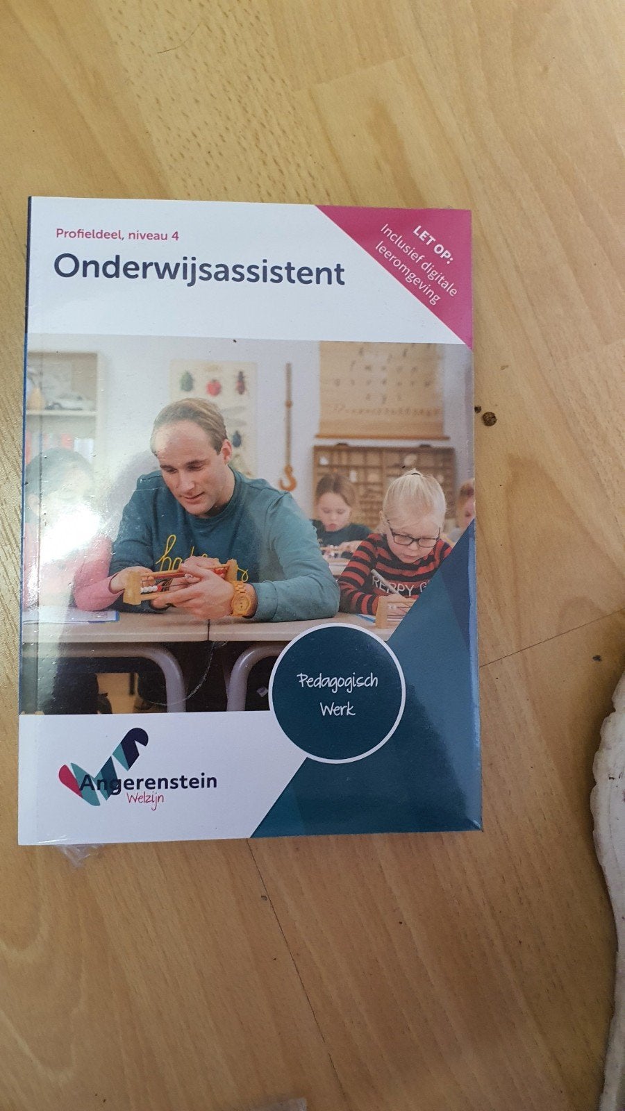 Onderwijsassistent Profieldeel Niveau 4 - Pedagogisch Werk, Ophalen of Verzenden, Zo goed als nieuw, MBO, Angerenstein Welzijn
