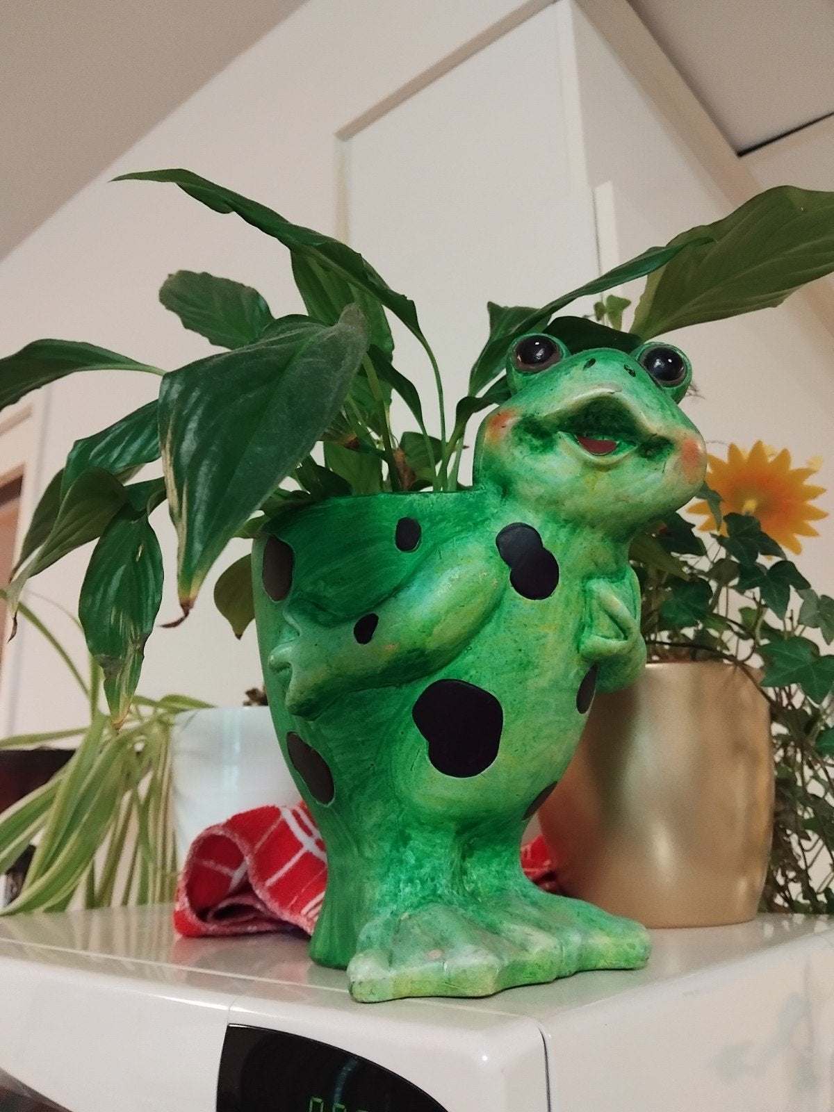 Leuke kikker bloempot - vrolijke plantenhouder, Ophalen, Groen, Gebruikt, Overige stijlen