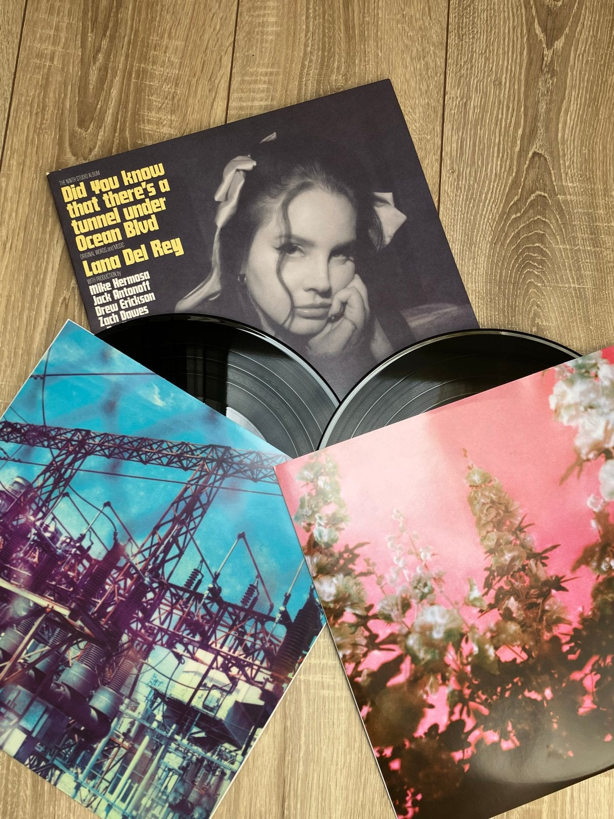 Lana Del Rey - DYKTTATUOB 2xLP, Pop, Ophalen of Verzenden, 12 inch, Dubbel-LP