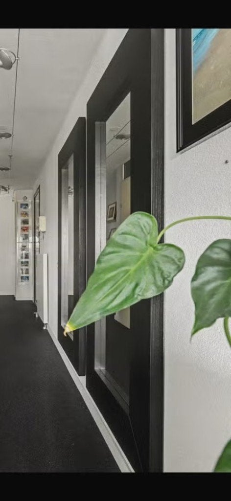 Set van 2 stijlvolle passpiegels – zwart houten frame -190cm, Huis en Inrichting, Ophalen, Zo goed als nieuw, 150 tot 200 cm, Rechthoekig