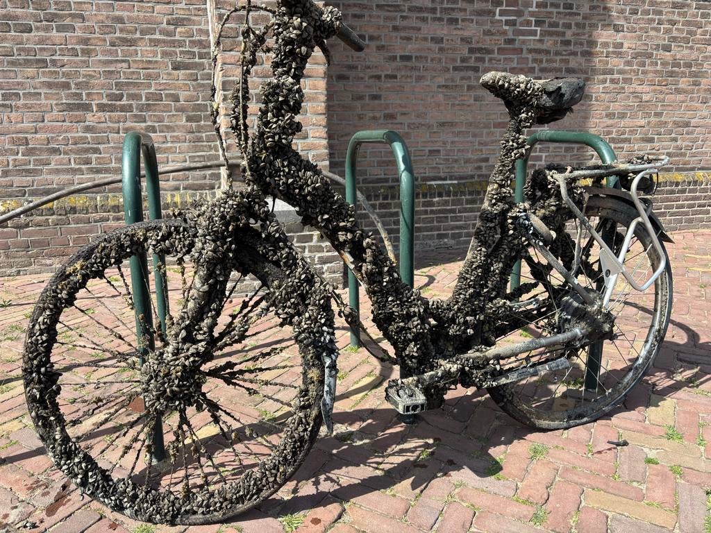 Unieke fiets - van oud (mossel)vrouwtje geweest, Fietsen en Brommers, Fietsen | Tandems, 55 cm of meer, Ophalen of Verzenden, Zo goed als nieuw