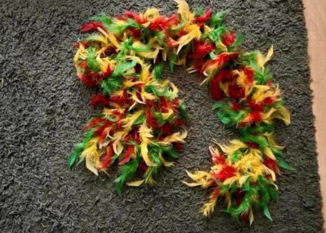 Gekleurde boa, Ophalen of Verzenden, Zo goed als nieuw, Carnaval, Accessoires