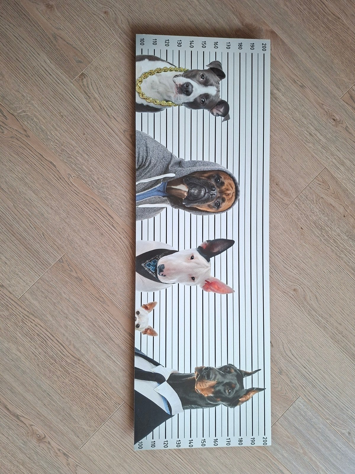 Wanddecoratie honden 90x30 cm, Ophalen, Zo goed als nieuw, 75 tot 100 cm, Print