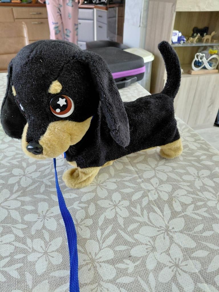 Loop hondje bijna gratis, Ophalen, Zo goed als nieuw