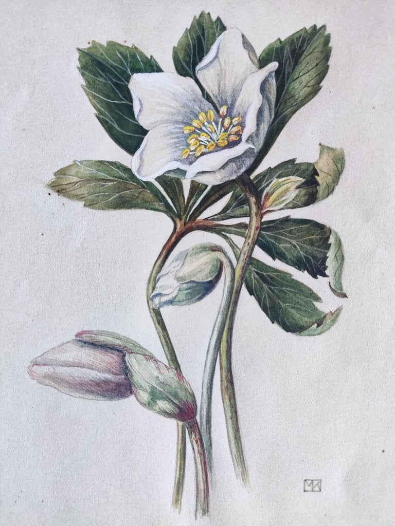 Hollandse School (XX) MK - Kerstroos, Ophalen of Verzenden, Schilderij, Aquarel, Handgemaakt