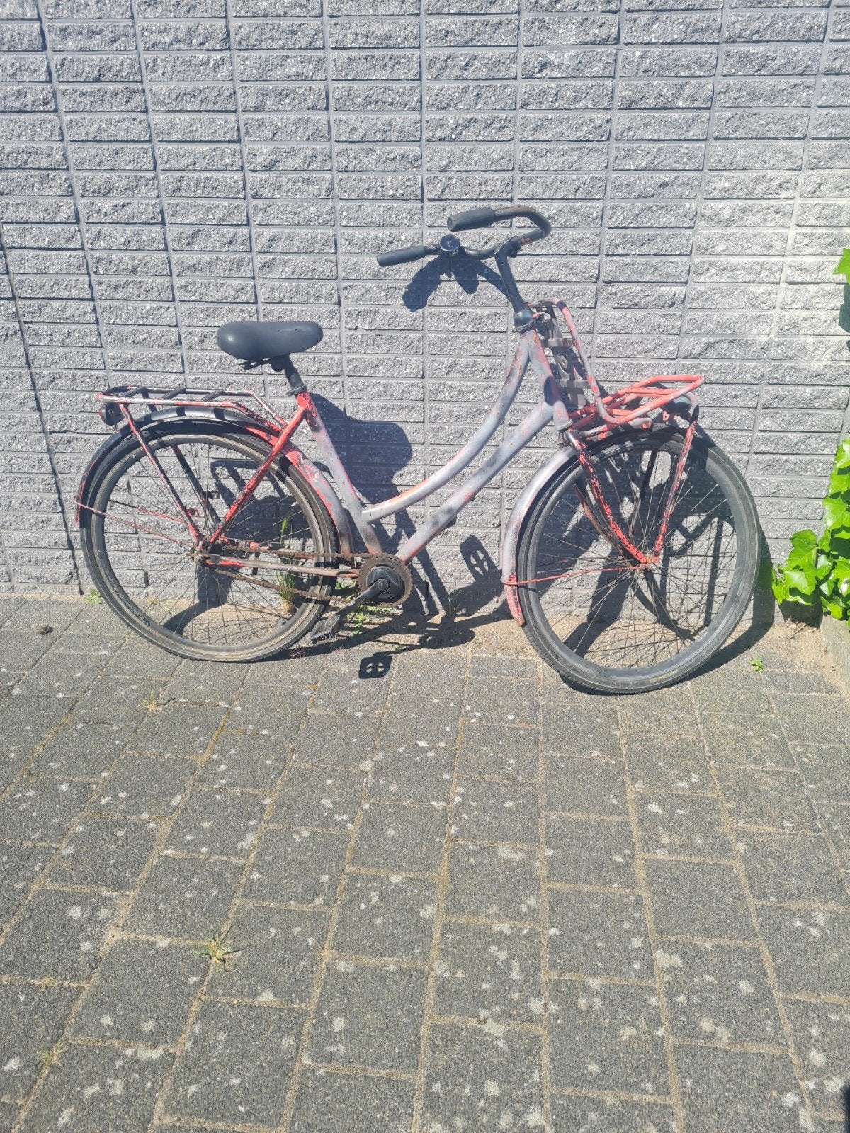 Omafiets 28inch met traprem doet het goed, 51 tot 55 cm, Ophalen, Terugtraprem, Oma fiets